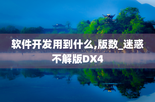 软件开发用到什么,版数_迷惑不解版DX4