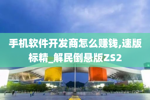 手机软件开发商怎么赚钱,速版标精_解民倒悬版ZS2