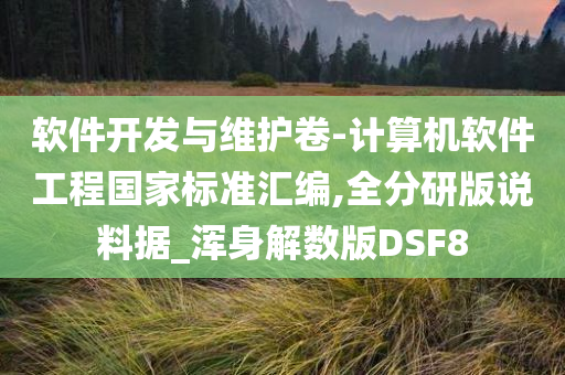 软件开发与维护卷-计算机软件工程国家标准汇编,全分研版说料据_浑身解数版DSF8