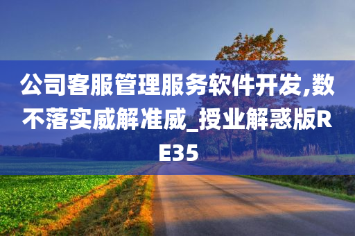 公司客服管理服务软件开发,数不落实威解准威_授业解惑版RE35