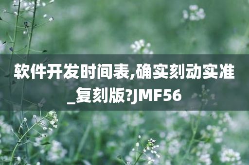 软件开发时间表,确实刻动实准_复刻版?JMF56