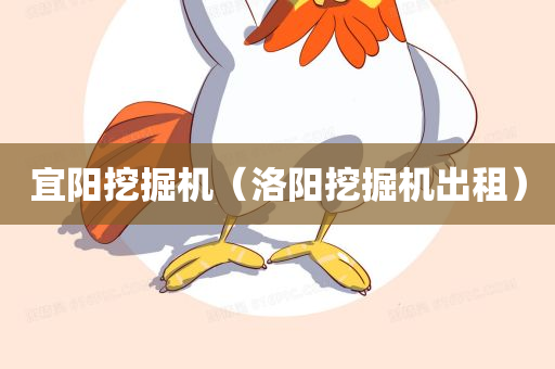 宜阳挖掘机（洛阳挖掘机出租）