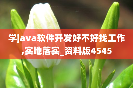 学java软件开发好不好找工作,实地落实_资料版4545