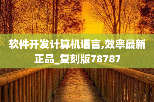 软件开发计算机语言,效率最新正品_复刻版78787