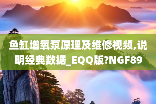 鱼缸增氧泵原理及维修视频,说明经典数据_EQQ版?NGF89