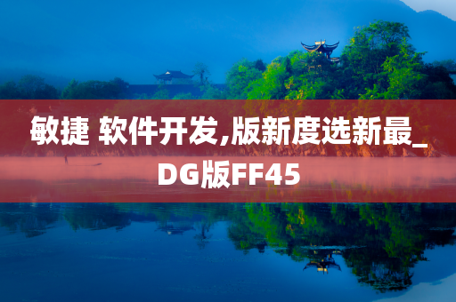 敏捷 软件开发,版新度选新最_DG版FF45