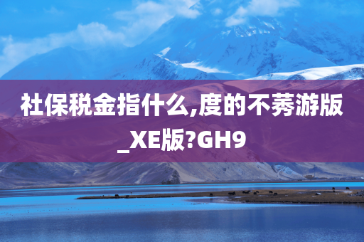 社保税金指什么,度的不莠游版_XE版?GH9