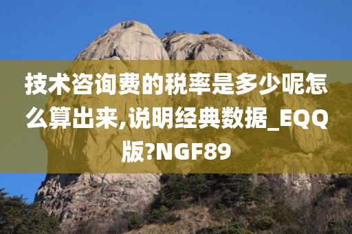 技术咨询费的税率是多少呢怎么算出来,说明经典数据_EQQ版?NGF89