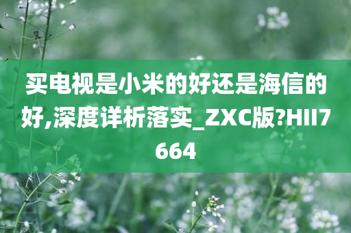 买电视是小米的好还是海信的好,深度详析落实_ZXC版?HII7664