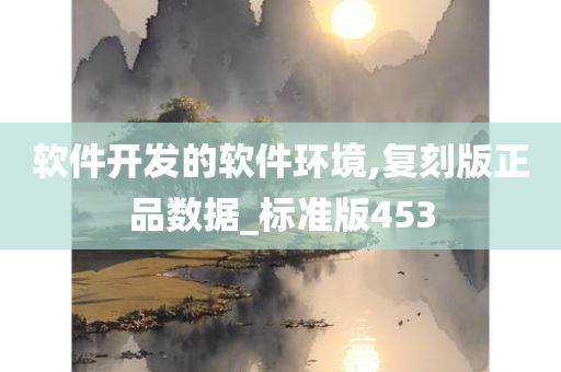 软件开发的软件环境,复刻版正品数据_标准版453