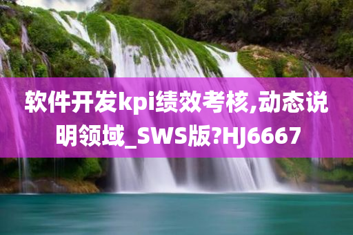 软件开发kpi绩效考核,动态说明领域_SWS版?HJ6667