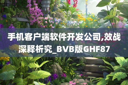 手机客户端软件开发公司,效战深释析究_BVB版GHF87