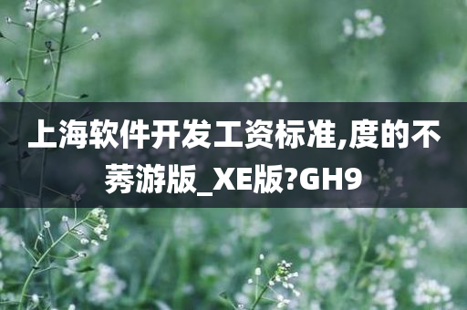 上海软件开发工资标准,度的不莠游版_XE版?GH9