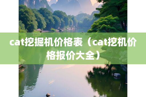 cat挖掘机价格表（cat挖机价格报价大全）