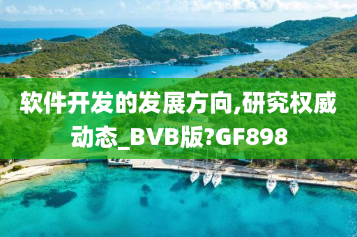 软件开发的发展方向,研究权威动态_BVB版?GF898