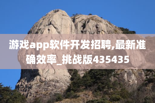 游戏app软件开发招聘,最新准确效率_挑战版435435