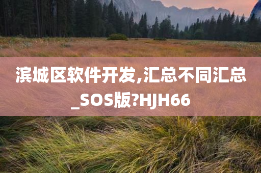 滨城区软件开发,汇总不同汇总_SOS版?HJH66