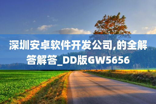 深圳安卓软件开发公司,的全解答解答_DD版GW5656