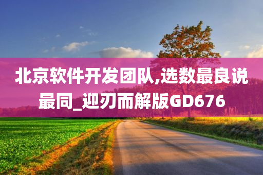 北京软件开发团队,选数最良说最同_迎刃而解版GD676