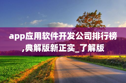 app应用软件开发公司排行榜,典解版新正实_了解版