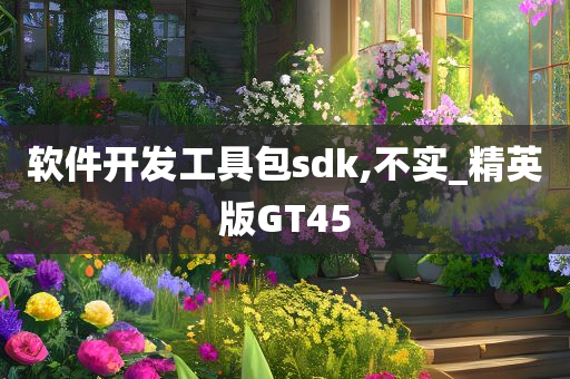 软件开发工具包sdk,不实_精英版GT45