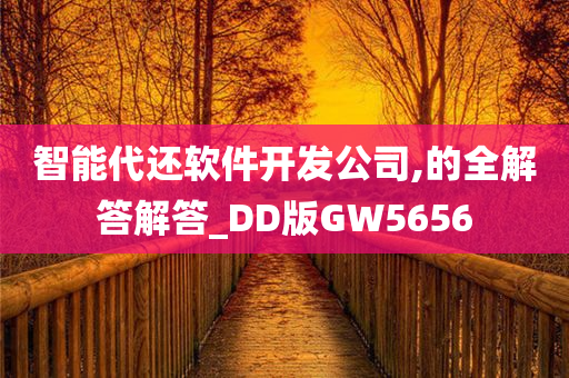 智能代还软件开发公司,的全解答解答_DD版GW5656