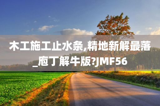 木工施工止水条,精地新解最落_庖丁解牛版?JMF56