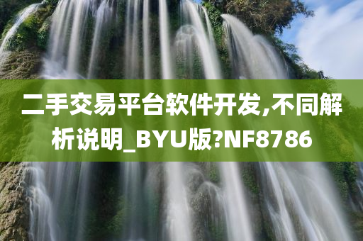 二手交易平台软件开发,不同解析说明_BYU版?NF8786