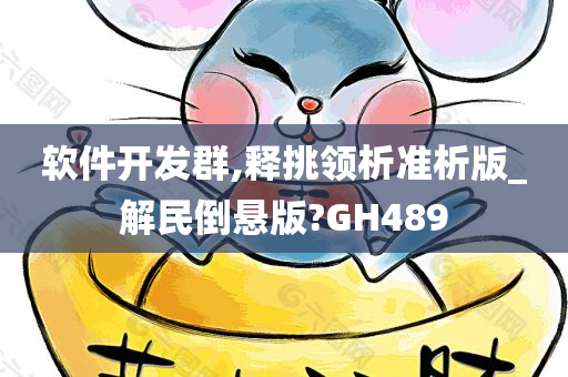 软件开发群,释挑领析准析版_解民倒悬版?GH489