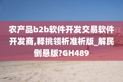 农产品b2b软件开发交易软件开发商,释挑领析准析版_解民倒悬版?GH489