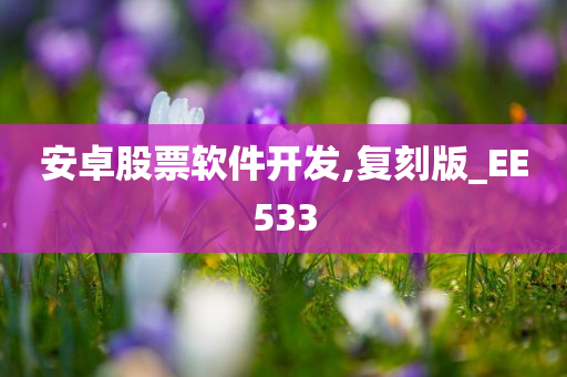 安卓股票软件开发,复刻版_EE533