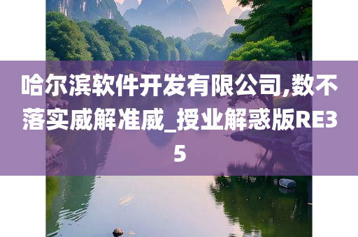 哈尔滨软件开发有限公司,数不落实威解准威_授业解惑版RE35