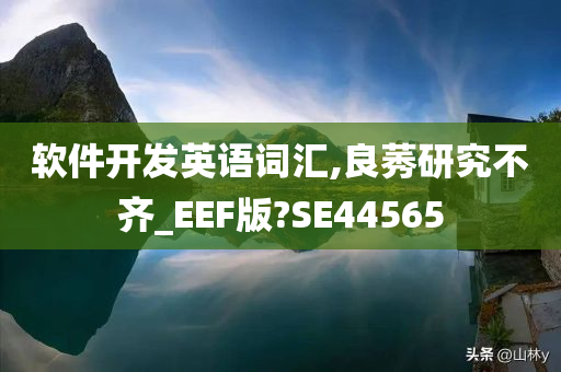 软件开发英语词汇,良莠研究不齐_EEF版?SE44565