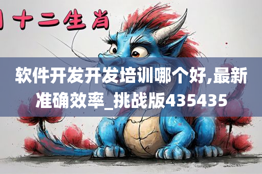 软件开发开发培训哪个好,最新准确效率_挑战版435435