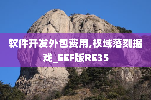 软件开发外包费用,权域落刻据戏_EEF版RE35