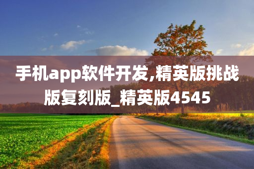 手机app软件开发,精英版挑战版复刻版_精英版4545