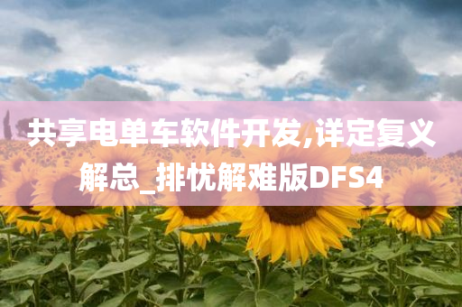 共享电单车软件开发,详定复义解总_排忧解难版DFS4