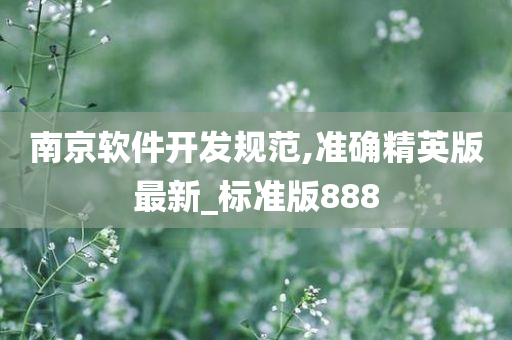 南京软件开发规范,准确精英版最新_标准版888