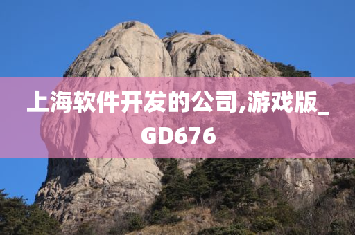 上海软件开发的公司,游戏版_GD676