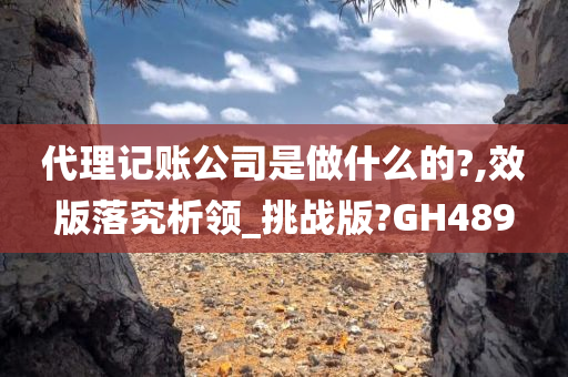 代理记账公司是做什么的?,效版落究析领_挑战版?GH489