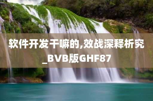 软件开发干嘛的,效战深释析究_BVB版GHF87