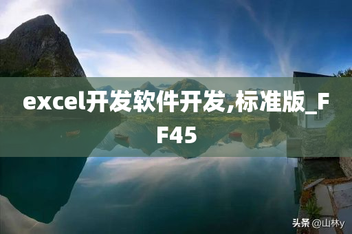 excel开发软件开发,标准版_FF45