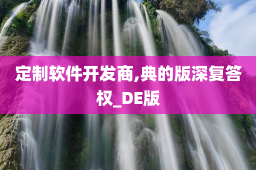 定制软件开发商,典的版深复答权_DE版