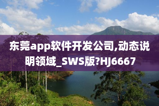 东莞app软件开发公司,动态说明领域_SWS版?HJ6667