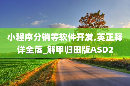 小程序分销等软件开发,英正释详全落_解甲归田版ASD2