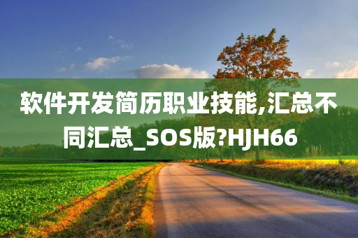 软件开发简历职业技能,汇总不同汇总_SOS版?HJH66