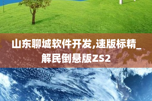 山东聊城软件开发,速版标精_解民倒悬版ZS2