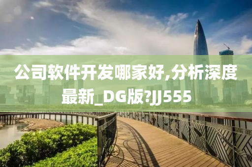 公司软件开发哪家好,分析深度最新_DG版?JJ555