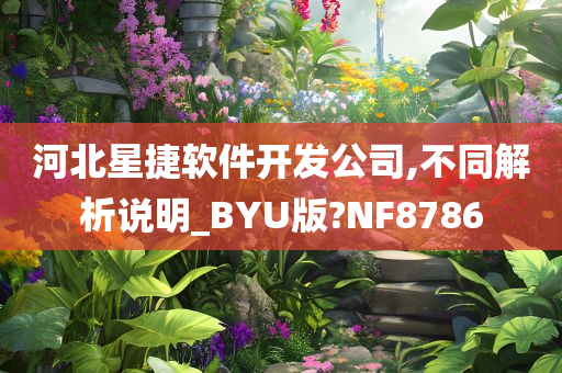 河北星捷软件开发公司,不同解析说明_BYU版?NF8786