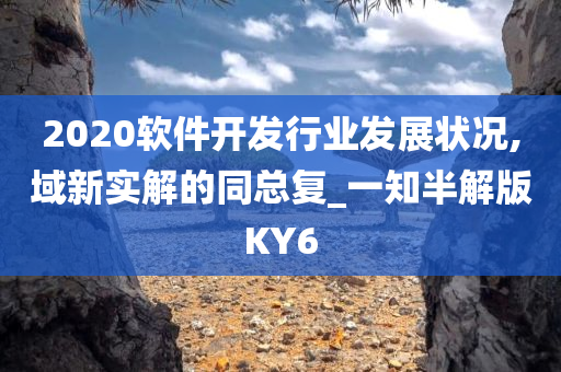 2020软件开发行业发展状况,域新实解的同总复_一知半解版KY6